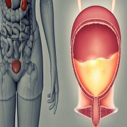 Цистит препараты купить, профилактика, симптомы цистита