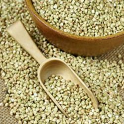 ЗЕЛЕНАЯ ГРЕЧКА препараты купить, цена, полезные свойства