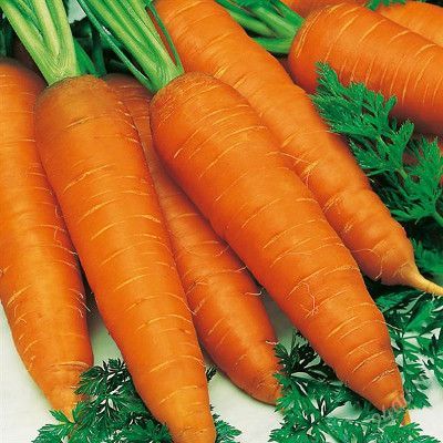 Морква